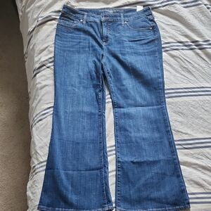 Chico's Classic Blue Flare Jeans